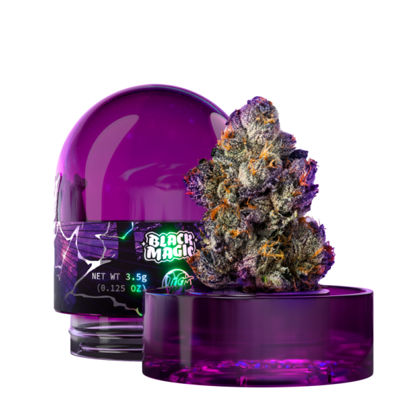 Wizard Trees: Black Magic