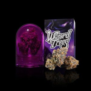 Wizard Trees: ZANGRIA Deutschland Kaufen