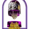 Wizard Trees Dark Matter kaufen